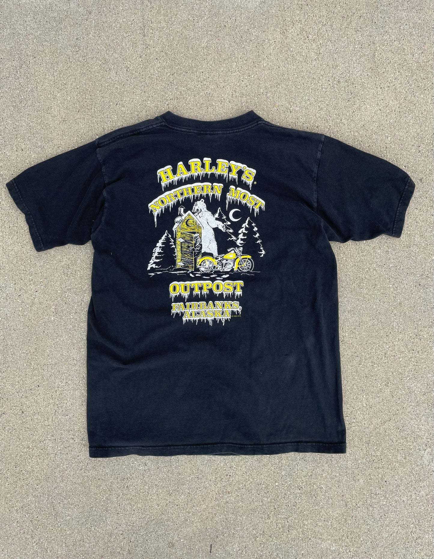 BLACK EAGLE HARLEY DAVIDSON SHIRT
