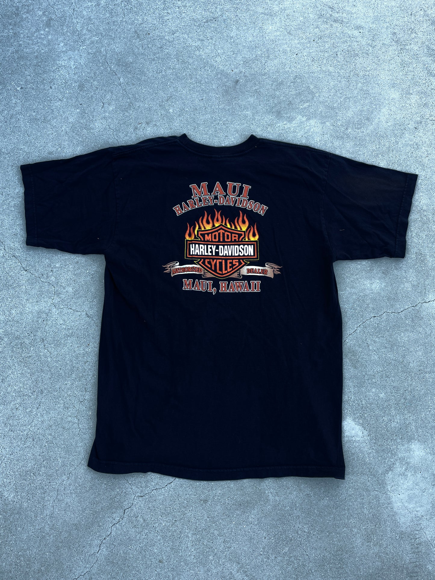 GRADIENT EAGLE HARLEY DAVIDSON SHIRT